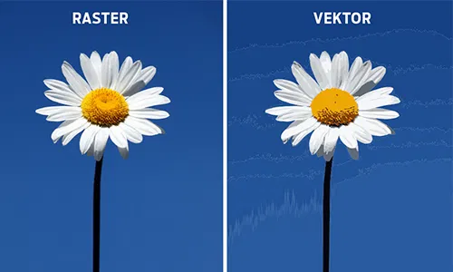 Blog Tiskare Omexprint Rijeka - raster ili vektor