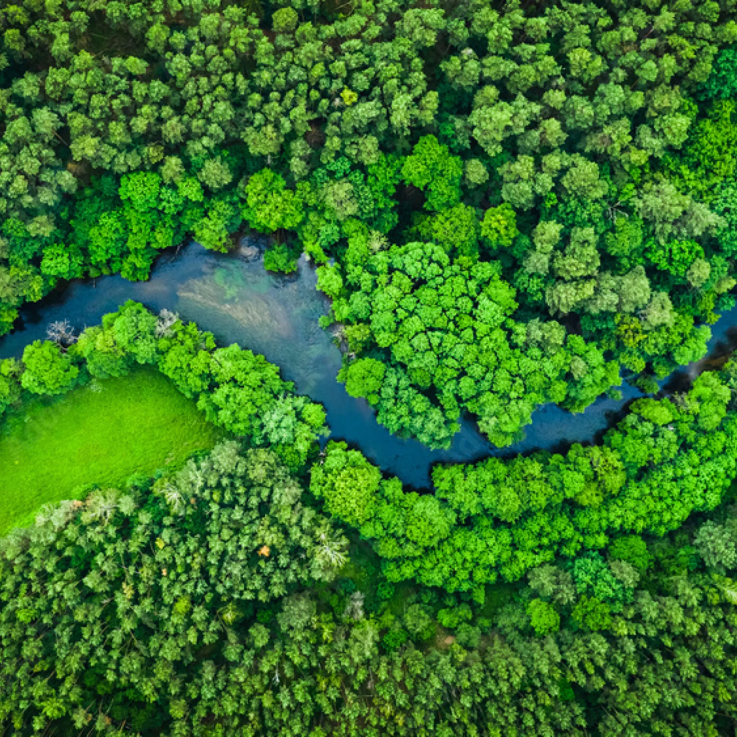 Omexprint tiskara Rijeka – ekološka izrada tiskanih materijala u Rijeci s naglaskom na održivost